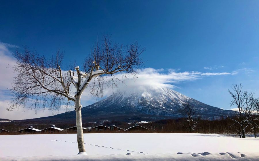 I never get tired of the views of Mount Yotei.