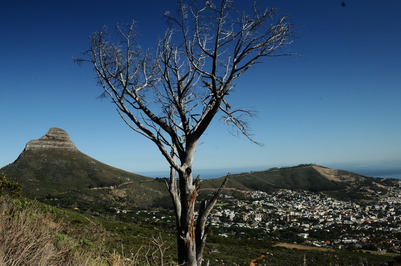 View of Lions Mountain from start of hike up Table Mountain