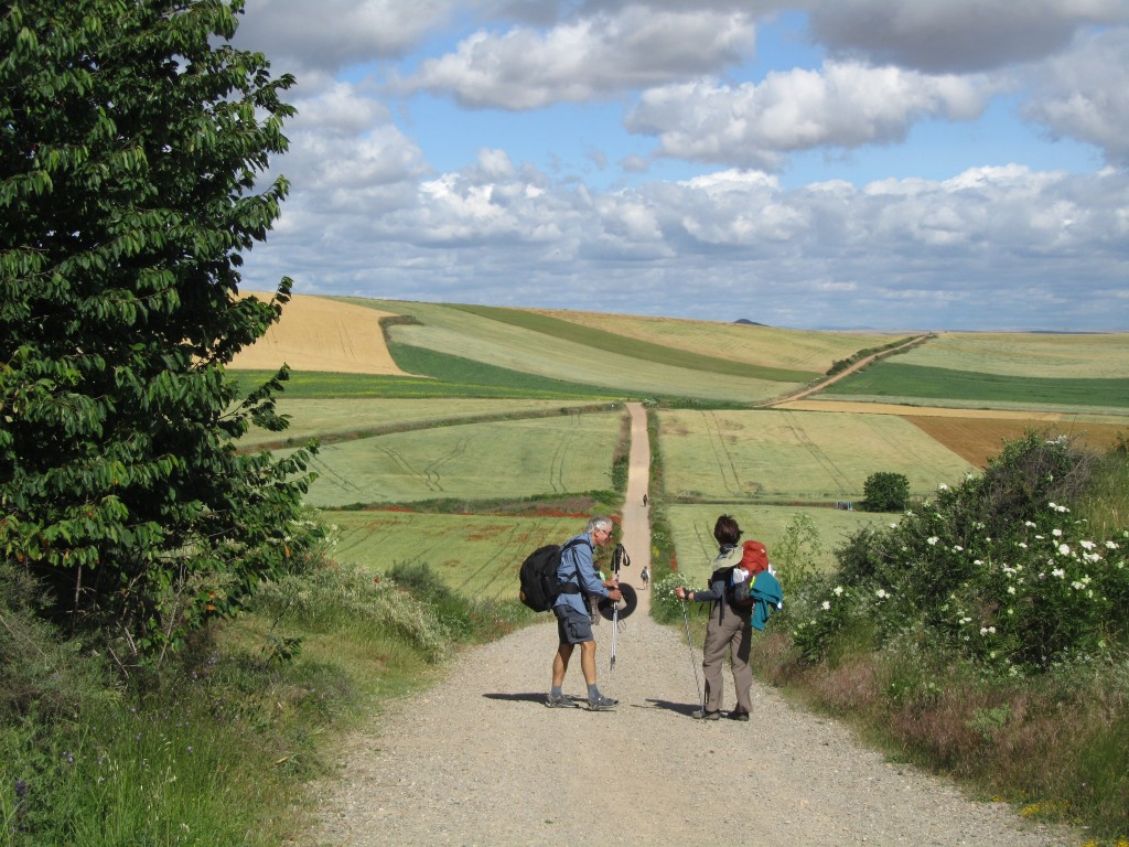 View from The Camino