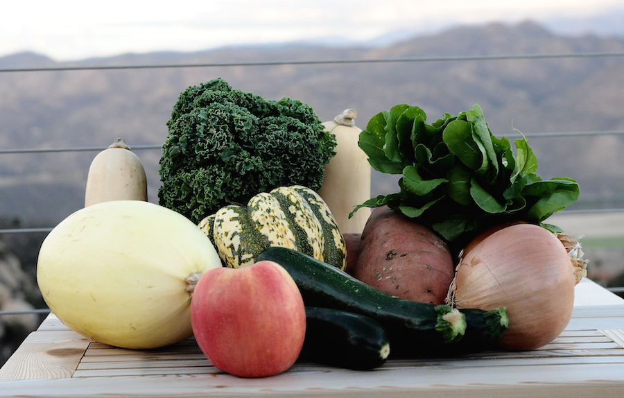 Local Fall Harvest